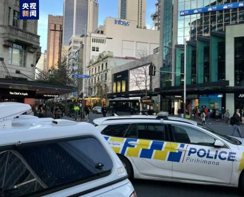 在线观看国产免费高清不卡