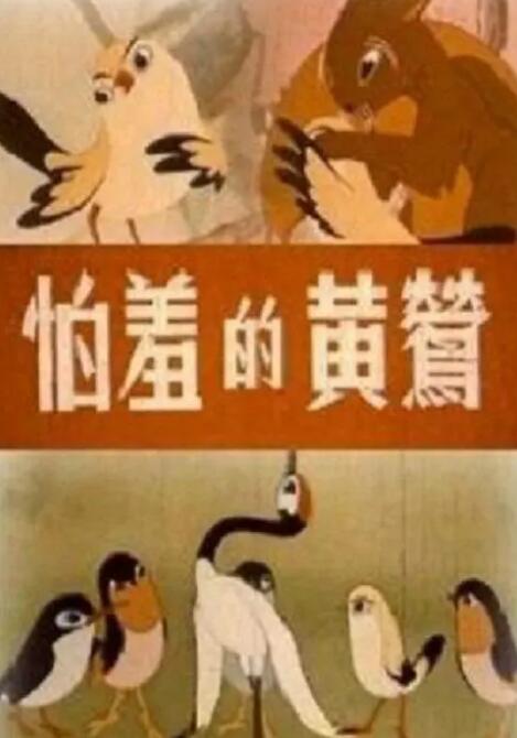 一区二区福利视频