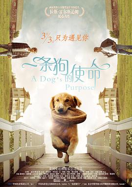 色噜噜狠狠在爱丁香
