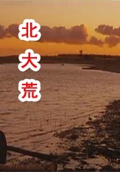 国产视频2区