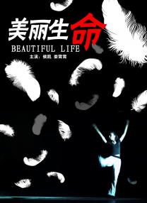 主题性