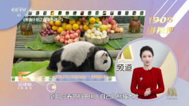 小缘的恋爱情史